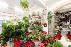 Foto de Floristeria Marian