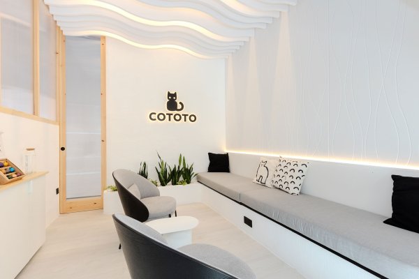 Foto de Cototo Wifi
